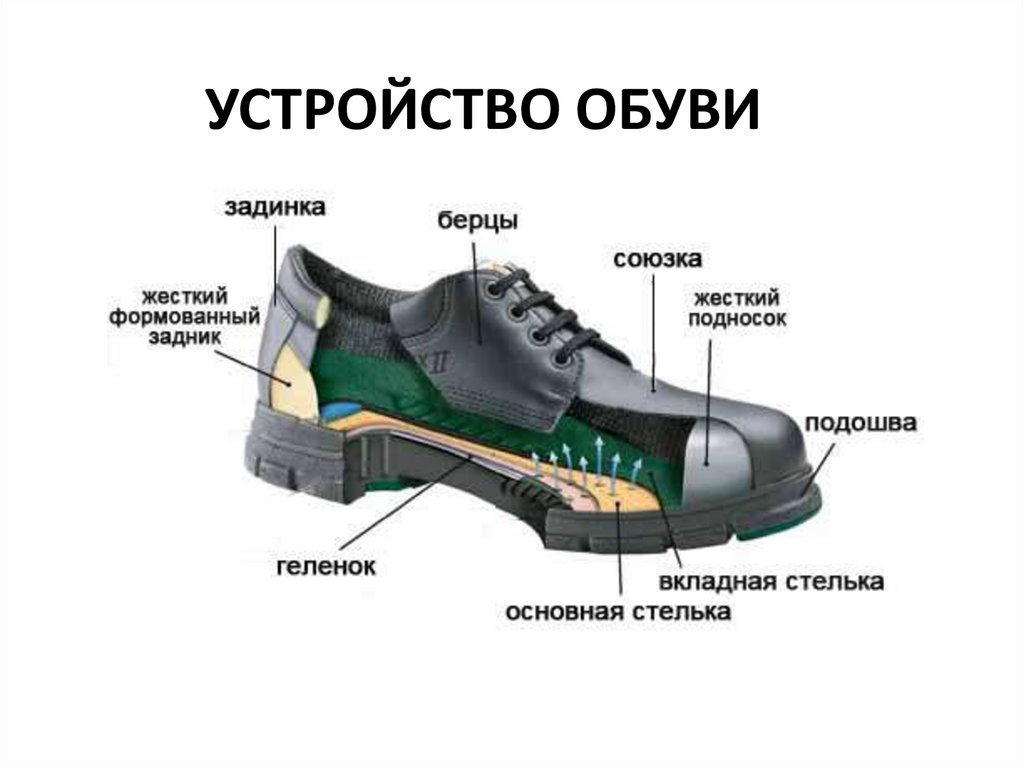 Практическое занятие «Составление торговой характеристики обуви по образцами буклетам»